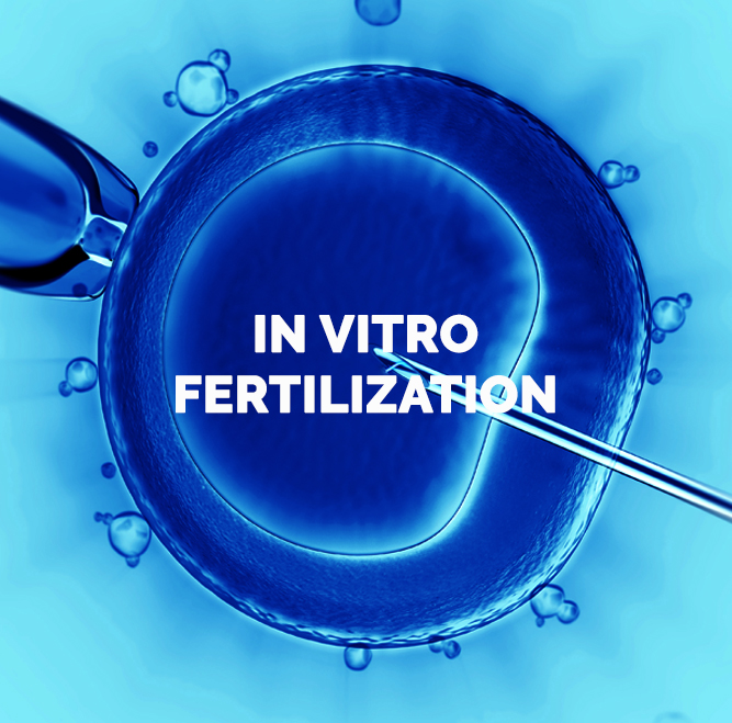 tratamiento fertilizacion in vitro