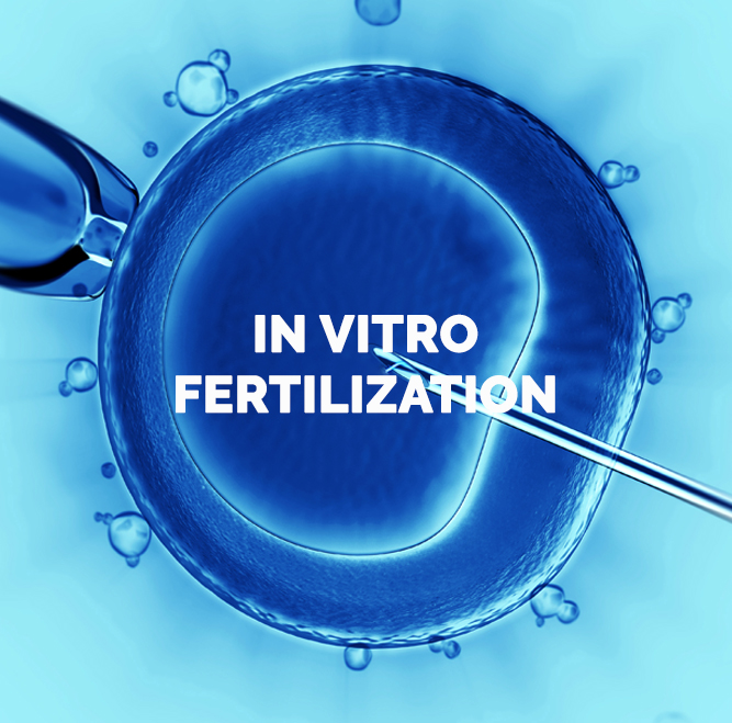 tratamiento fertilizacion in vitro