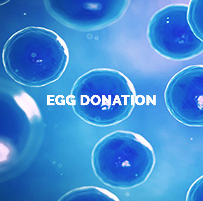 tratamiento donacion de ovulos